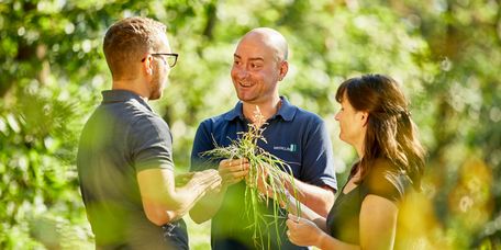 Therapeut und Patienten gehen im Wald spazieren