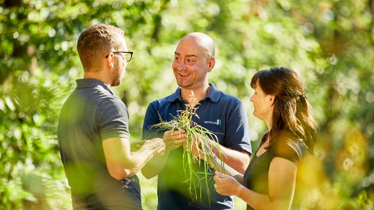 Therapeut und Patienten gehen im Wald spazieren