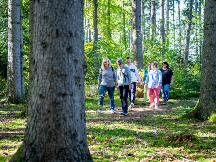 Patienten wandern durch einen Wald