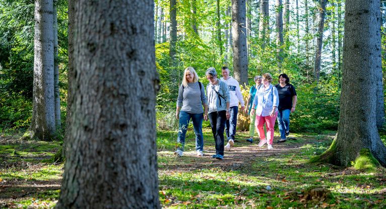 Patienten wandern durch einen Wald