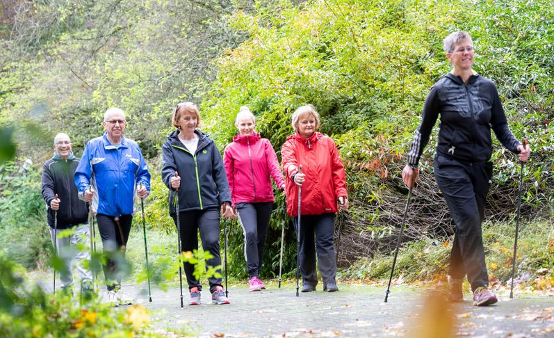 Patienten wandern mit Stöcken im Wald
