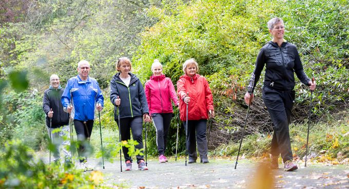 Patienten wandern mit Stöcken im Wald