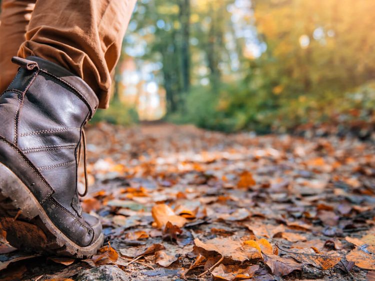 Wanderer spaziert durch den Wald